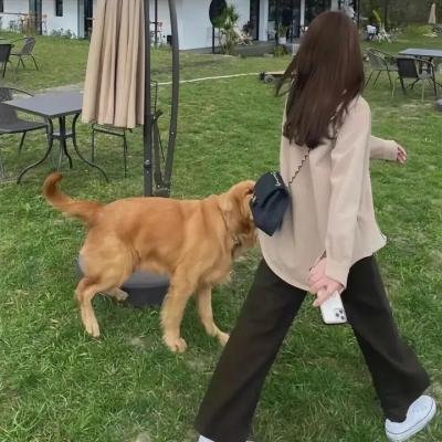 玩命逃杀